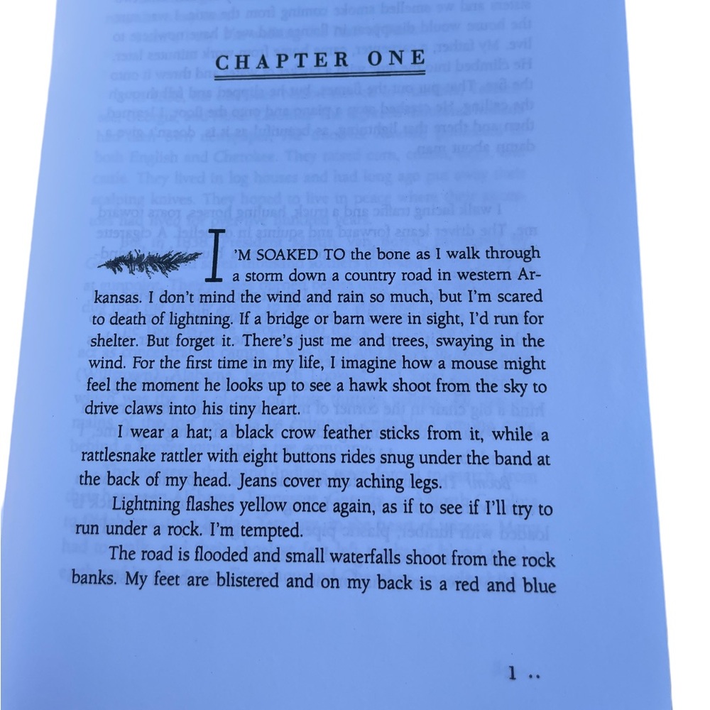 Walking The Trail One Mans Journey Along The Cherokee Trail of Tears Softcover - Picture 5 of 7
